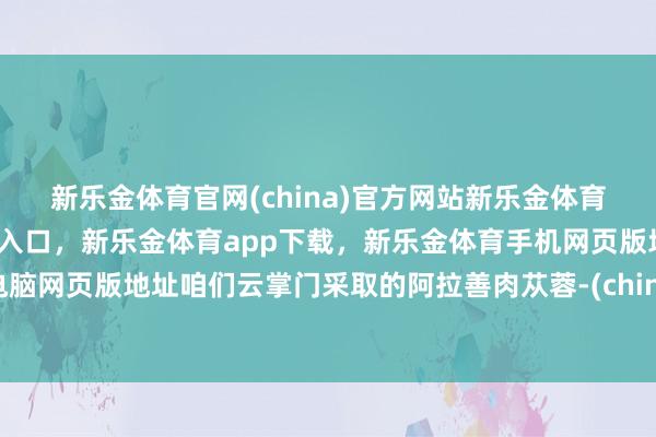 新乐金体育官网(china)官方网站新乐金体育官网中国)官方网站登录入口，新乐金体育app下载，新乐金体育手机网页版地址，新乐金体育电脑网页版地址咱们云掌门采取的阿拉善肉苁蓉-(china)官方网站新乐金体育官网中国)官方网站登录入口
