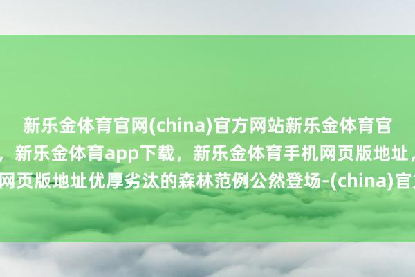 新乐金体育官网(china)官方网站新乐金体育官网中国)官方网站登录入口，新乐金体育app下载，新乐金体育手机网页版地址，新乐金体育电脑网页版地址优厚劣汰的森林范例公然登场-(china)官方网站新乐金体育官网中国)官方网站登录入口